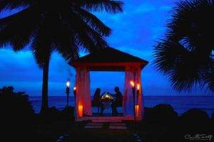 Romance Picnic Dinner Package